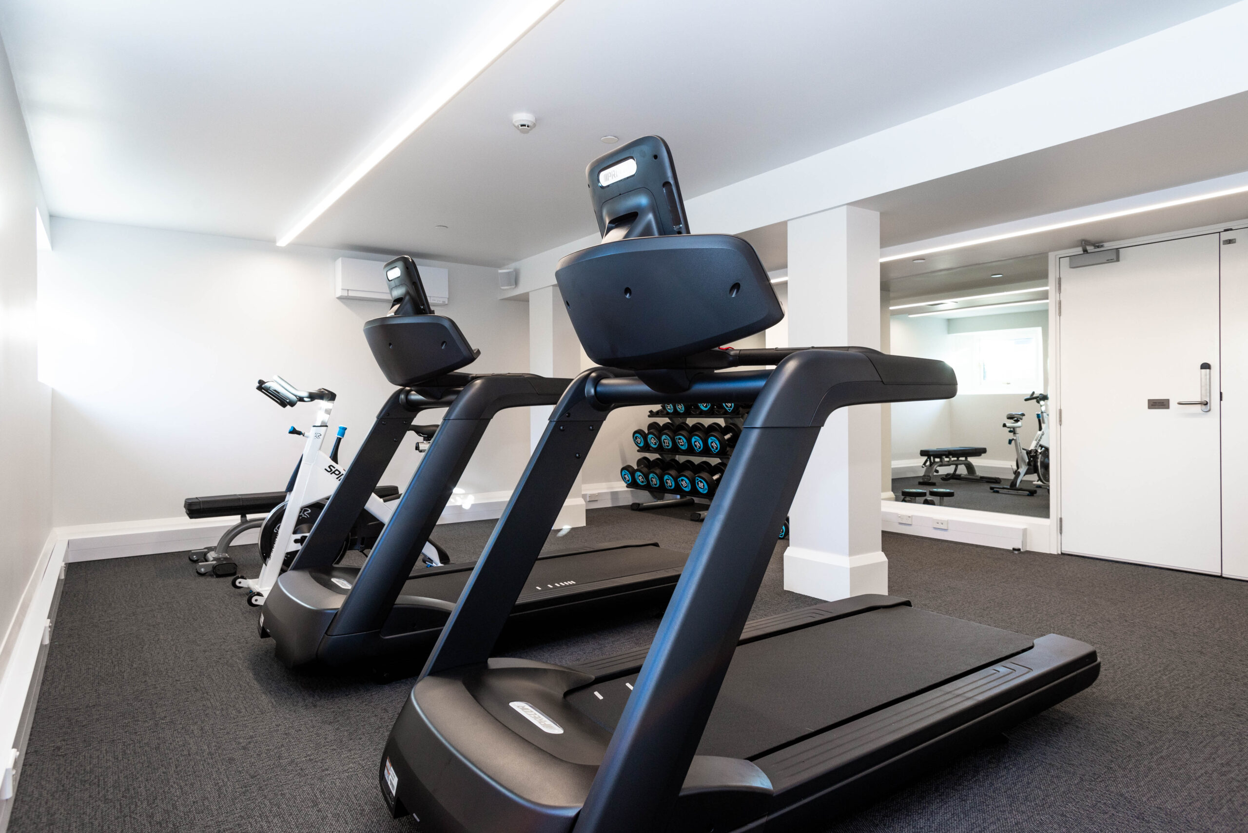 8 the gymnasium